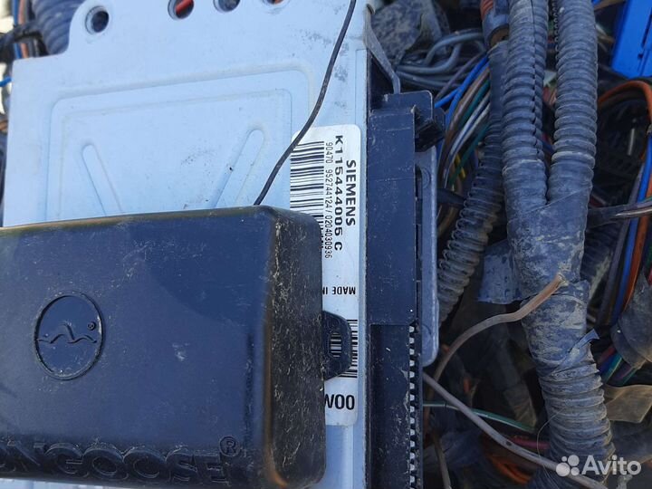 Эбу мазги деу матиз