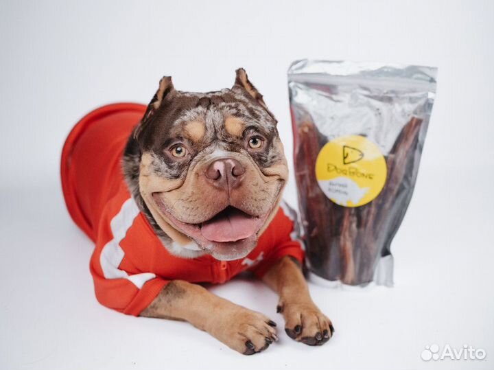 Вкусняшки для собак-лакомства для собак оптом