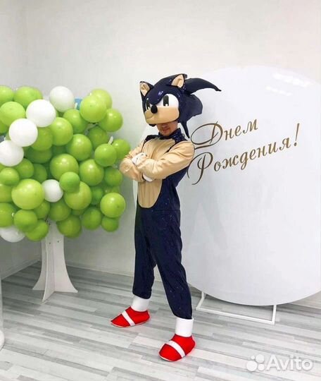 Костюм для Аниматоров Ежик