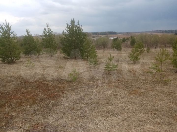 Участок 40 сот. (ИЖС)