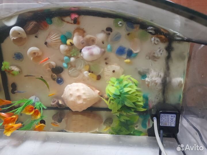 Аквариум