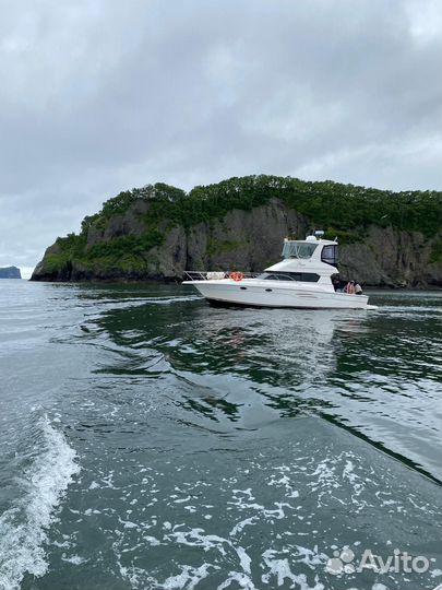 Морская прогулка к острову Старичков