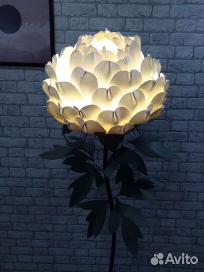 Ростовые цветы светильники