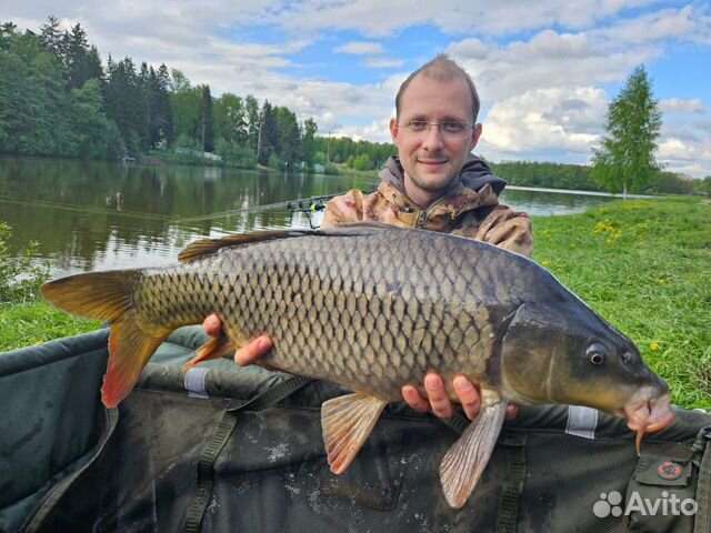 Платная рыбалка и отдых на озере в Подмосковье объявление продам
