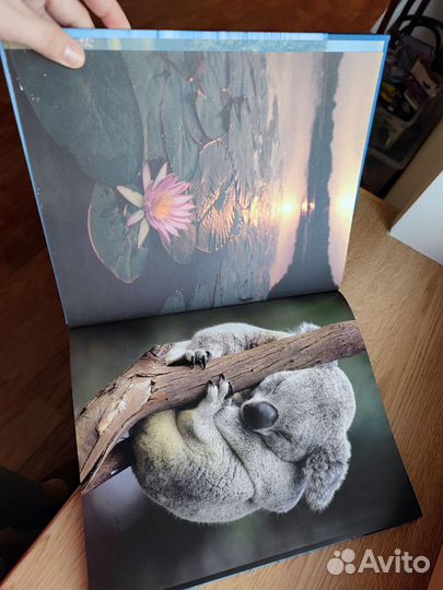 Книга в подарок