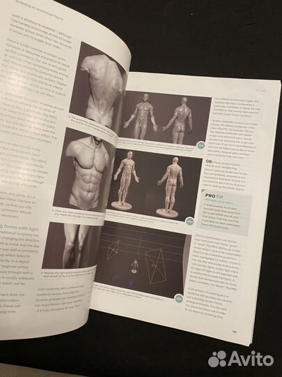 Книга anatomy for 3D artists