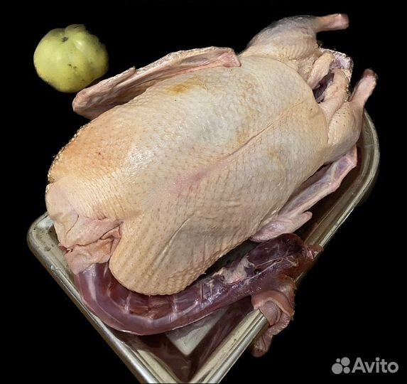 Мясо утки, муларда, гуся