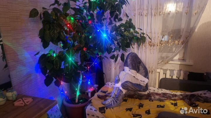 Пижама кигуруми акула