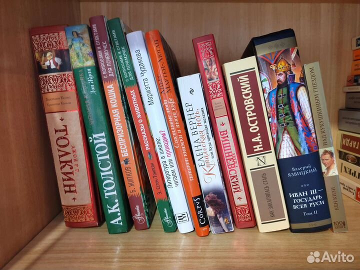 Книги эксклюзивная классика и не только