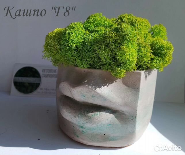 Кашпо со мхом