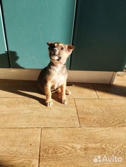 Как страшно жить