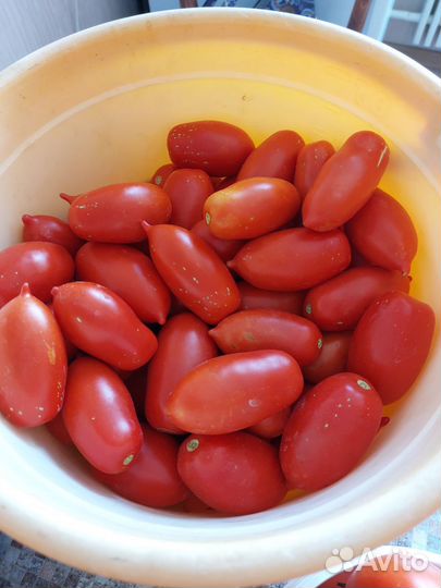Помидоры