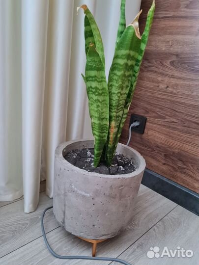 Кошпо в стили лофт