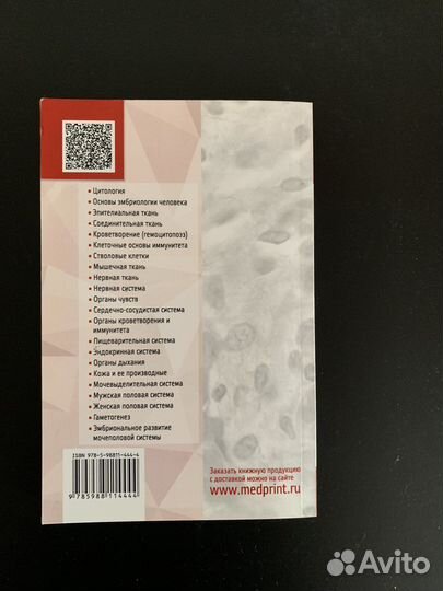 Учебное пособие по гистологии