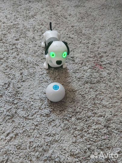 Собака робот ycoo silverit