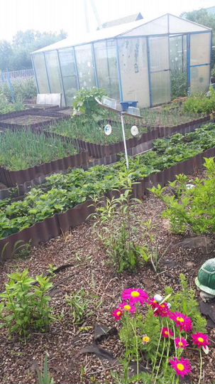 Дом 140 м² на участке 12 сот.