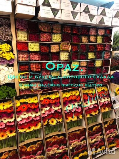 Цветы оптом розы