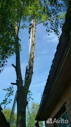 Расчистка участков