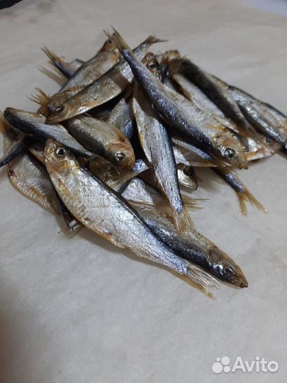 Жерех холодного копчения/Посылки из Астрахани