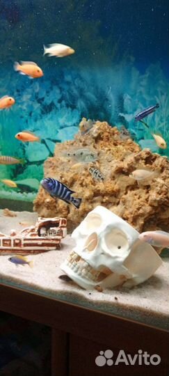 Декорация для аквариума, светильник