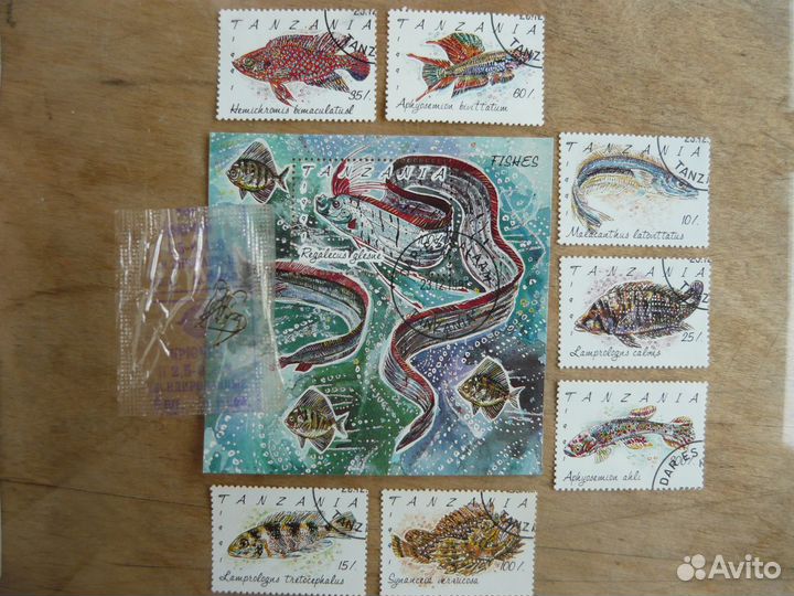 Крючки рыболовные