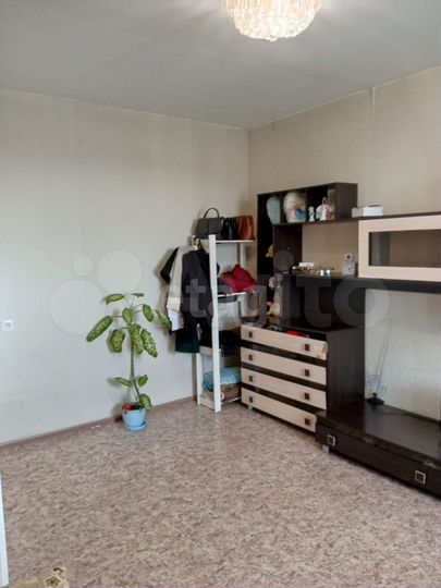 1-к. квартира, 25,5 м², 9/9 эт.