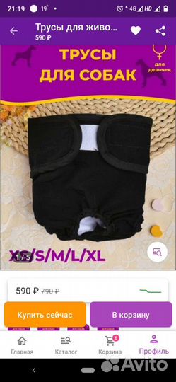 Трусы для собак