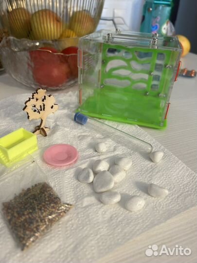 Муравьиная ферма