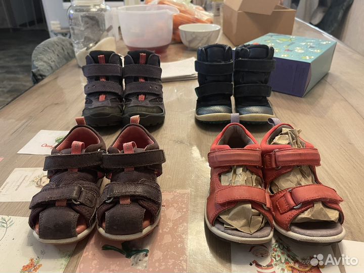 Ecco для девочки