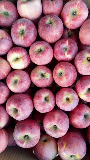 Дом 57 м² на участке 22 сот.