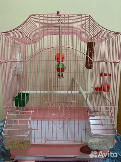 Клетка для птиц