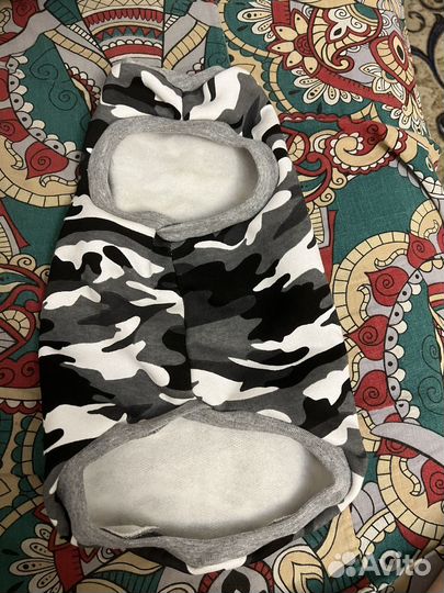 Одежда для кошки или собаки