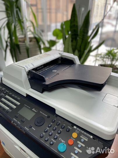 Мфу Kyocera Ecosys M2035dn