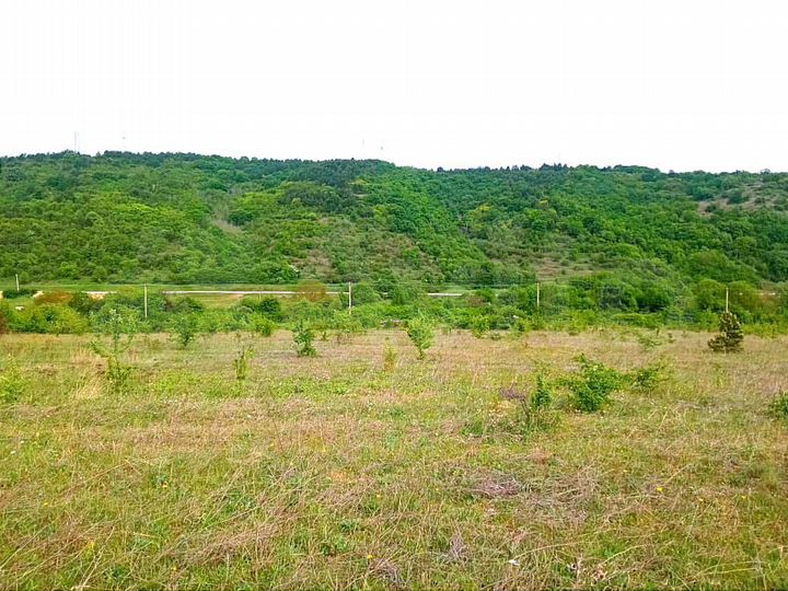 Участок 10 сот. (СНТ, ДНП)