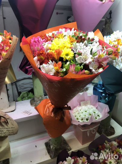 Цветок Альстермерия, Перуанская Лилия