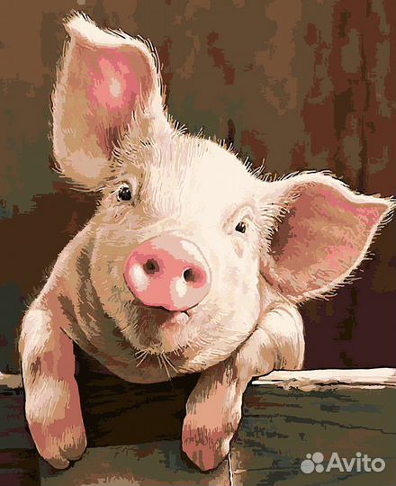 Поросята ландрас дюрок