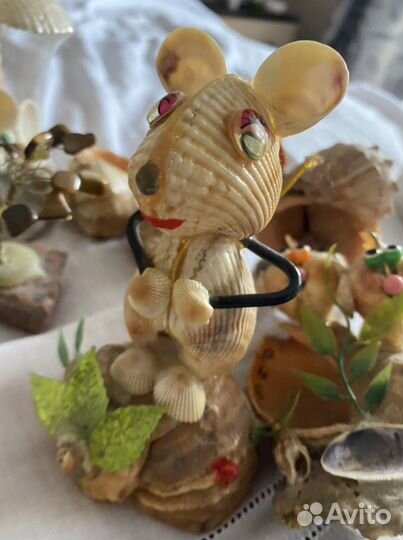 Морские ракушки