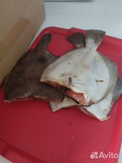 Камбала, Ёрш