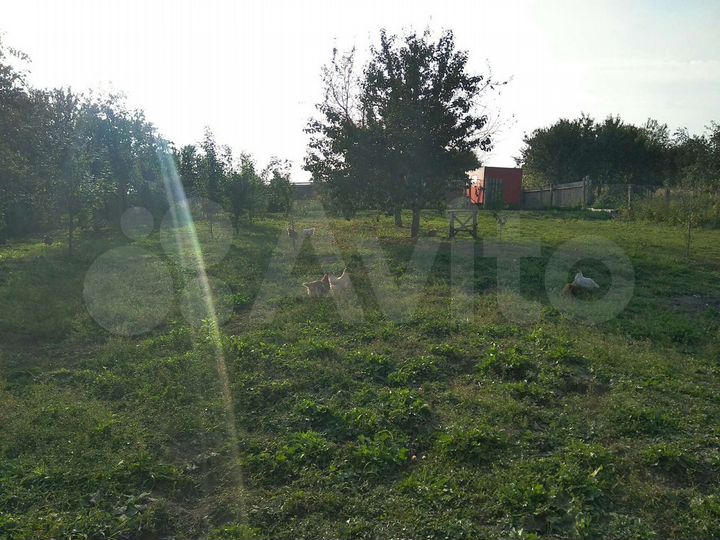 Участок 52 сот. (ИЖС)