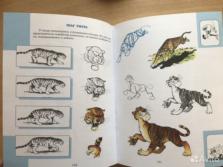 Энциклопедия рисования