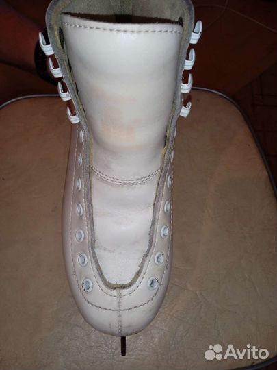 Коньки Wifa Prima Set 31 LL