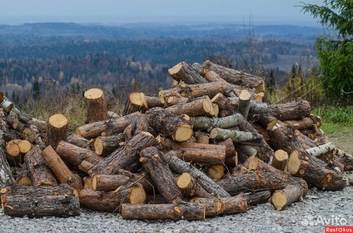 Дрова эконом