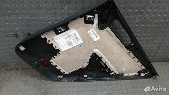 Дверная карта Volkswagen Tiguan, 2012