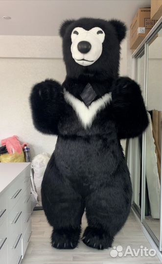 Черный мндведь из тик-тока