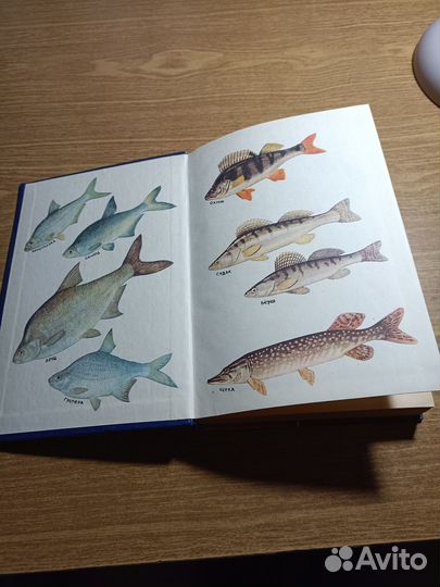 Книга про рыбалку