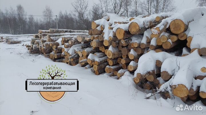 Баланс Береза от 38 куб