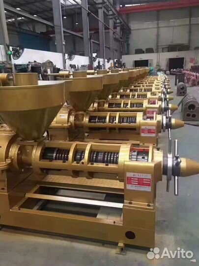 Оборудование для производства растительного масла