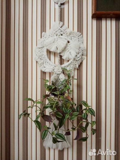 Кашпо - корзинки, подвес для растений