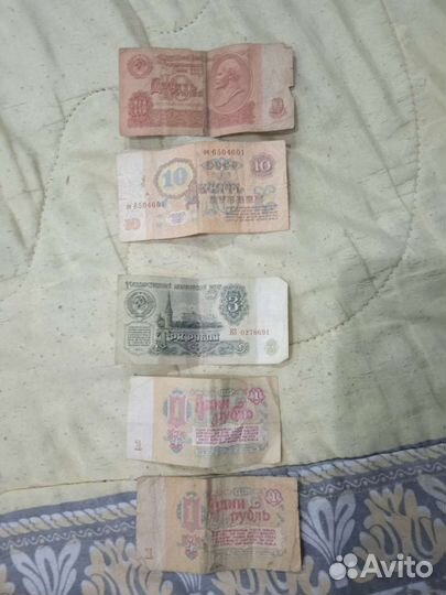 Куры времён СССР