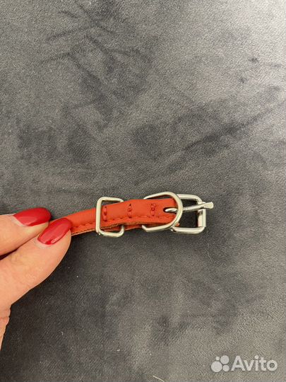 Ошейник Collar